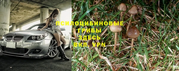 хмурый Балахна